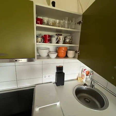 아파트 Geliu Apartamentai