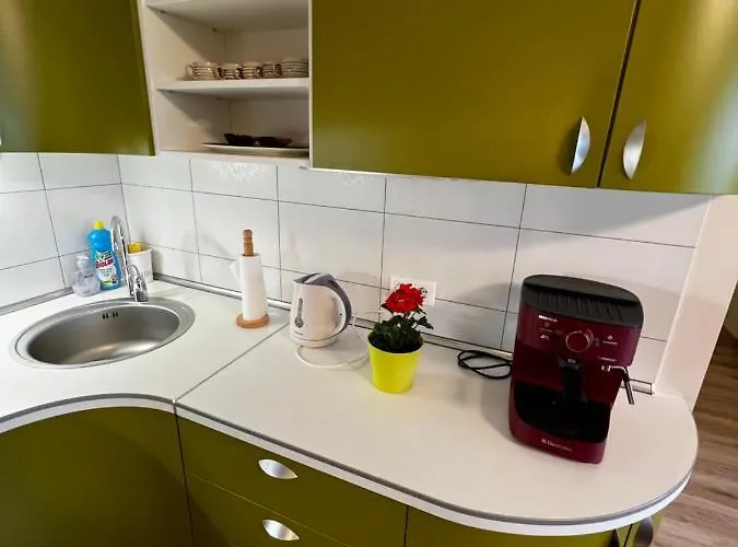 Geliu Apartamentai דירה *